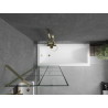 Mexen Next 1-panel shower screen 70 x 150 cm, black grid, gold - 895-070-000-00-77-50