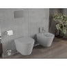 Mexen Rico cuvette WC sans rebord avec abattant slim à descente progressive, duroplast, gris clair mat - 30724061