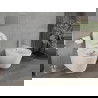 Mexen Rico wc-kom Misko Randloos met langzaam sluitend, slanke zitting, duroplast, witte mat - 30724001