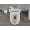 Mexen Rico rimless WC-skål med hårt, långsamt stängande lock, vit glans - 30478000