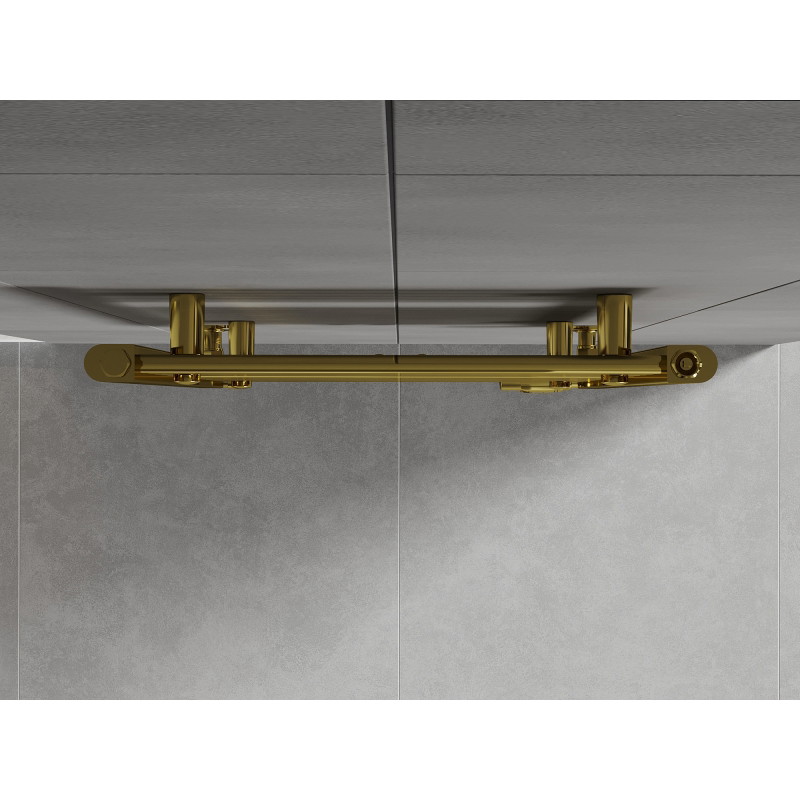 Mexen Hades vannitoa radiaator 1200 x 500 mm, 450 W, kuldne - W104-1200-500-00-50