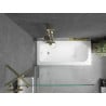 Mexen Vega rechteckige Badewanne 160 x 70 cm mit Verkleidung und 1-flügeligem Paravent 100 cm, transparent, gold - 550116070X95?