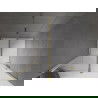 Mexen Velar schuifbare douchedeur 100 cm, transparant, goud - 871-100-000-01-50