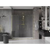 Mexen Velar Duo drzwi prysznicowe rozsuwane 170 cm, transparent, złote - 871-170-000-02-50