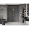 Mexen Velar Duo schuifdeuren voor douche 200 cm, transparant, goud - 871-200-000-02-50