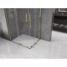 Mexen Velar Duo Schiebetür-Duschkabine 100 x 90 cm, transparent, gold - 871-100-090-02-50