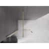 Mexen Velar Duschwand zum Schieben Walk-in 120 x 200 cm, transparent 8 mm, gebürstetes Gold - 871-120-000-03-55