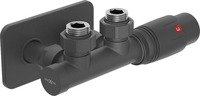 Mexen G00 termostatvinkelset med täckplatta S, Duplex, DN50, antracit - W907-900-910-66