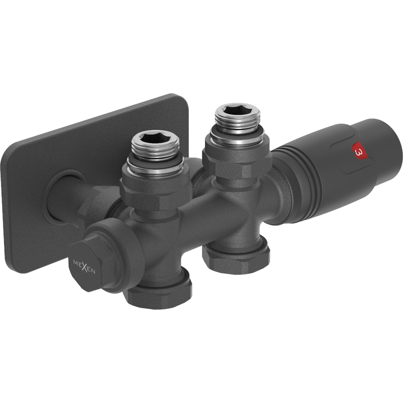 Mexen G00 Thermostat-Set, Winkel/Gerade mit Abdeckung S, Duplex, DN50, Anthrazit - W908-900-910-66