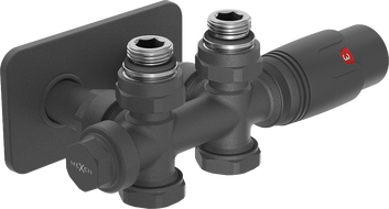 Mexen G00 Thermostat-Set, Winkel/Gerade mit Abdeckung S, Duplex, DN50, Anthrazit - W908-900-910-66