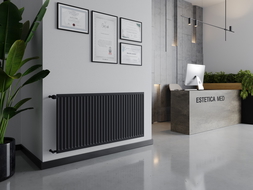 Mexen CH10 Hygiëne plaatradiator 400 x 400 mm, zij aansluiting, 173 W, antraciet - W410H-040-040-66