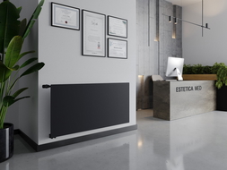 Radiateur mural Mexen CVH10 Hygiene 400 x 1000 mm, connexion inférieure, 432 W, anthracite - W610H-040-100-66