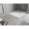 Mexen Hugo rectangular shower tray SMC 120 x 100 cm, white, gold cover - 42101012-G