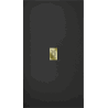Mexen Hugo rechteckige Duschtasse SMC 170 x 100 cm, schwarz, goldene Abdeckung - 42701017-G