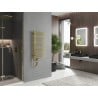 Mexen Neptun radiador eléctrico 900 x 500 mm, 300 W, dorado - W101-0900-500-2300-50