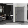 Mexen Kioto dušisein Walk-in 140 x 200 cm, grafiit 8 mm, kuldne harjatud - 800-140-101-55-40