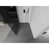 Mexen Kioto Walk-in Shower Panel 130 x 200 cm, Graphite 8 mm, Brushed Gun Gray - 800-130-101-66-40
