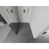 Mexen Kioto paroi de douche Walk-in 100 x 200 cm, miroir 8 mm, doré brossé - 800-100-101-55-50