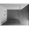 Mexen Kioto dušisein Walk-in 120 x 200 cm, must ruudustik 8 mm, harjatud nikkel - 800-120-101-97-77