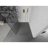 Mexen Kioto dušisein Walk-in 120 x 200 cm, valge muster 8 mm, kuldne harjatud - 800-120-101-55-85