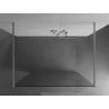 Mexen Kioto freestanding shower panel 120 x 200 cm, transparent 8 mm, brushed nickel - 800-120-002-97-00