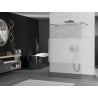 Mexen Kioto Freestanding Shower Wall 120 x 200 cm, Transparent/Frost 8 mm, Brushed Gun Gray - 800-120-002-66-35