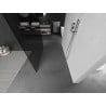 Mexen Kioto freestanding shower screen 100 x 200 cm, graphite 8 mm, brushed nickel - 800-100-002-97-40