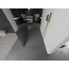 Mexen Kioto freestanding shower panel 120 x 200 cm, 8 mm mirror, brushed gold - 800-120-002-55-50