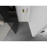 Mexen Kioto L ścianka prysznicowa Walk-in 120 x 200 cm, grafit, złota - 800-120-103-50-40