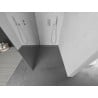 Mexen Kioto L Duschwand Walk-in 100 x 200 cm, Spiegel, Chrom - 800-100-103-01-50