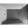 Mexen Kioto Walk-in Shower Panel 100 x 200 cm, 8 mm Tempered Glass, Brushed Nickel - 800-100-101-97-09