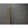 Mexen Kioto Walk-in Shower Wall 50 x 200 cm, Transparent 8 mm, Gold - 800-050-101-50-00