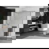 Mexen Kioto+ paroi de douche avec étagère Walk-in 100 x 200 cm, motif noir, nickel brossé - 800-100-121-97-70