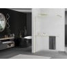 Mexen Kioto+ shower wall with Walk-in shelf 80 x 200 cm, frost, brushed gold - 800-080-121-55-30