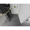 Mexen Kioto+ Shower Wall with Walk-in Shelf 100 x 200 cm, black pattern, brushed gold - 800-100-121-55-70