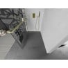 Mexen Kioto+ paroi de douche avec étagère Walk-in 100 x 200 cm, motif blanc, or brossé - 800-100-121-55-85