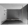 Mexen Kioto+ Walk-in Shower Screen with Shelf 120 x 200 cm, Graphite, Brushed Nickel - 800-120-121-97-40