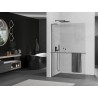 Mexen Kioto+ L dušisein riiuliga Walk-in 65 x 200 cm, läbipaistev, harjatud püssihall - 800-065-123-66-00