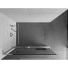 Mexen Kioto+ L paroi de douche avec étagère Walk-in 65 x 200 cm, transparent, nickel brossé - 800-065-123-97-00