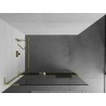 Mexen Kioto+ L dušisein riiuliga Walk-in 80 x 200 cm, läbipaistev, kuldne - 800-080-123-50-00