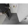 Mexen Kioto+ L paroi de douche avec étagère Walk-in 75 x 200 cm, transparent, doré - 800-075-123-50-00