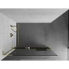 Mexen Kioto+ L Shower Wall with Shelf Walk-in 65 x 200 cm, Transparent, Gold - 800-065-123-50-00