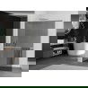 Mexen Kioto+ L Duschwand mit Ablage Walk-in 80 x 200 cm, graphit, gebürstetes Nickel - 800-080-123-97-40