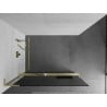 Mexen Kioto+ L Duschwand mit Regal Walk-in 100 x 200 cm, grafit, gebürstetes Gold - 800-100-123-55-40