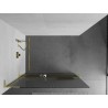 Mexen Kioto+ L dušisein riiuliga Walk-in 120 x 200 cm, triibuline, kuldne - 800-120-123-50-09