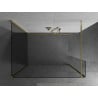 Mexen Kioto douchewand Walk-in 120 x 70 x 30 cm, transparant, goud - 800-120-070-221-50-00-030