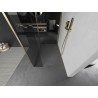 Mexen Kioto tuš stijena Walk-in 125 x 95 x 30 cm, prozirna, zlatna četkana - 800-125-095-221-55-00-030