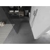 Mexen Kioto dušisein Walk-in 125 x 120 cm, läbipaistev, harjatud nikkel - 800-125-212-97-00-120