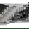 Mexen Kioto Duschwand Walk-in 100 x 95 cm, transparent, gun gray gebürstet - 800-100-202-66-00-095