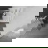 Mexen Kioto+ L Duschwand mit Regalet Walk-in 100 x 200 cm, matt, gebürsteter Nickel - 800-100-123-97-09